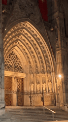 Seagull scavenging near Barcelona cathedral at night