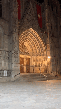 Seagull scavenging near Barcelona cathedral at night