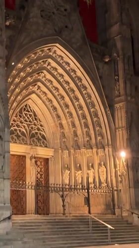 Seagull scavenging near Barcelona cathedral at night