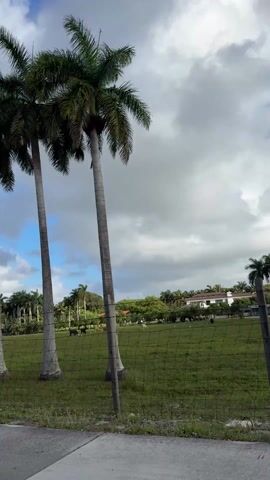 The video shows a landscape with palm trees in the foreground, followed by a wire fence, a green field, and more palm trees in the background, with houses visible in the distance. The sky is a mix of blue and cloudy patches. The camera appears to be moving as it captures the scene.