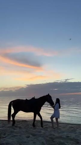 A woman in a white dress stands on a sandy beach, facing a horse that is saddled and has a bridle. The horse is dark brown or black. The woman is holding the bridle. The background is a body of water meeting the horizon and a sky with pink and blue streaks. The sun is setting.