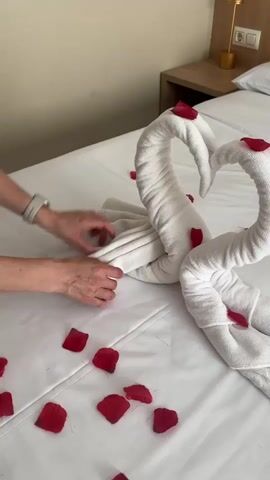 A person's hands are seen arranging red rose petals on a white bed next to two white towel swans. The swans are folded to resemble their necks in a heart shape. The background shows a bedside table and a wall.