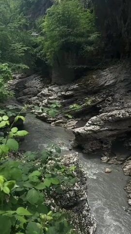 This video shows a view from above a narrow canyon with a river flowing through it. The canyon walls are steep and rocky, with lush green vegetation growing on them and at the top. The water in the river is grey and appears to be moving quickly, with some ripples and white water visible. The lighting suggests it is daytime, possibly overcast, as the scene is generally well-lit but without harsh shadows. There are no people or specific objects clearly visible in the frame besides the natural elements of the canyon and river. The camera is relatively still, offering a static panoramic perspective of the gorge.