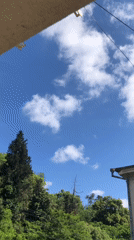 Clear morning skies captured over green Sokhumi hillsides