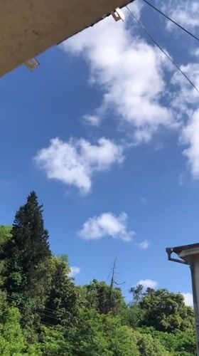 Clear morning skies captured over green Sokhumi hillsides
