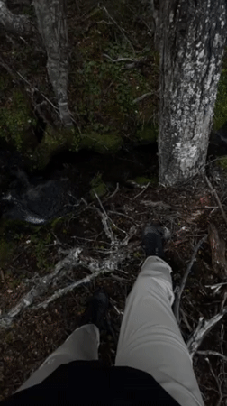 Person observed at forest stream near Ushuaia