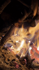 Crackling campfire glows at night near Nikolovo, Bulgaria
