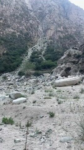 The video shows a wide shot of a rocky, mountainous terrain with sparse vegetation. A large, metal power line tower stands prominently on the slope of the mountain, with wires extending upwards and outwards. The ground in the foreground is covered with rocks, gravel, and some small green plants. The mountain itself is steep and appears to be composed of rock and scree, with patches of green bushes and trees growing on its lower slopes. The lighting suggests it is daytime, possibly overcast.