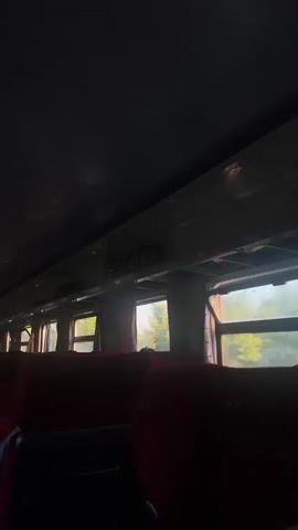 This media file captures the interior of a train carriage. The focus is on rows of plush, dark red seats, some of which are occupied by people whose faces are not clearly visible. Luggage is stowed on overhead racks. Large windows offer a view of a blurred, verdant landscape, suggesting the train is in motion. The lighting indicates it is likely either early morning or late afternoon, with soft, diffused light entering through the windows, creating a somewhat muted atmosphere. There are no discernible signs or text in the frame. The overall impression is one of travel and a quiet, introspective journey.