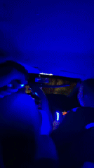 LED-lit car interior captured by witnesses in Bulgaria
