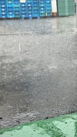 The video shows a close-up view of heavy rain falling on an asphalt surface. In the background, there are stacks of blue and white plastic crates and green structures. Water is pooling on the asphalt and splashing from the falling raindrops. The scene appears to be an outdoor area, possibly a loading dock or storage area, given the presence of crates and industrial-looking structures. The lighting is overcast, typical of rainy weather.