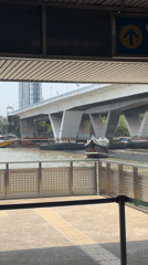 Morning streetscape documentation across central Bangkok captures everyday urban life