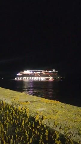 A large cruise ship with its lights on is visible on the water at night. The ship is illuminated with white, pink, and purple lights, and its reflection can be seen in the water. In the foreground, a textured, moss-covered wall is visible. The sky is dark, indicating nighttime.