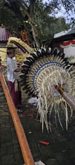 Traditional Balinese ceremony preparation observed in Denpasar
