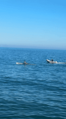 Calm waters, two boats spotted off Alicante coast
