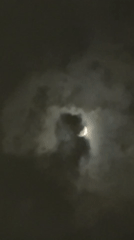Nighttime scenes captured in Yerevan: moon, dog, illuminated building