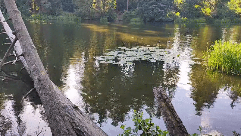 Mahilyow, Belarus