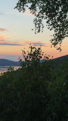 A slow pan over a serene landscape at sunset. In the foreground, dark green foliage obscures the lower portion of the frame. As the camera pans up and to the right, a body of water, reflecting the soft hues of the sky, comes into view. The water is bordered by rolling, tree-covered hills in the distance. A small town with buildings and a spire is nestled along the shore of the lake, partially visible through the trees. The sky above is a gradient of soft blues, pinks, and oranges, with wispy clouds catching the last rays of the setting sun. The overall impression is one of tranquility and natural beauty.