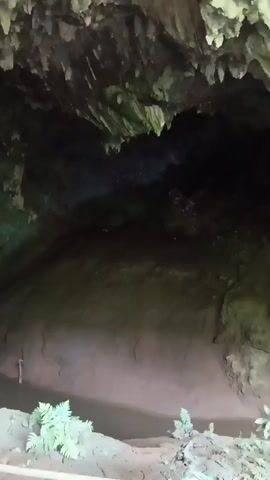 The video shows the interior of a cave. The ceiling of the cave is adorned with stalactites. The cave walls appear to be made of rock and dirt. There is a body of water flowing through the cave, and plants grow along the edges of the water. The lighting is dim, with some areas of shadow. The camera pans slowly through the cave, showing its natural features.