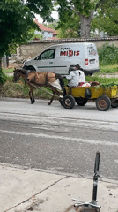 Horse-drawn cart carries grass harvest through Razgrad streets