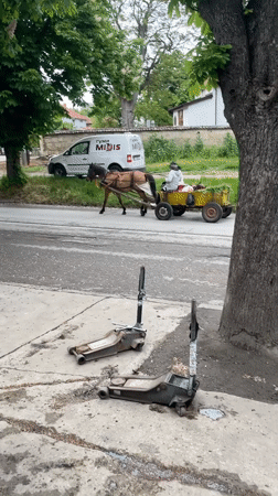 Horse-drawn cart carries grass harvest through Razgrad streets
