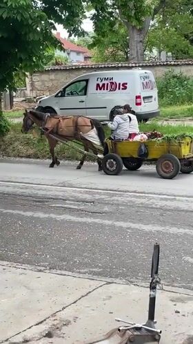 Horse-drawn cart carries grass harvest through Razgrad streets