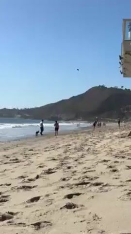 The video depicts a sunny day at the beach. Several people are visible along the shoreline, including one person throwing a ball. To the left, a person stands near the water with a dog. A lifeguard tower is partially visible on the right side of the frame. The background features a hill partially covered with vegetation. The sand is textured with footprints.