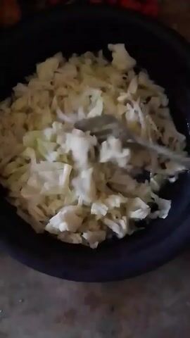 Here's a description of the video:

The video shows a close-up view of a black bowl filled with shredded cabbage. A hand holding a metal spatula stirs the cabbage in the bowl. In the background, some tomatoes and another round object are visible, but they are out of focus. The scene appears to be indoors, possibly in a kitchen setting.