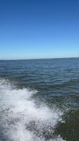 A boat is moving through the water, creating a wake behind it. The water is blue and calm, with a clear sky overhead. The boat appears to be an aluminum fishing boat with an outboard motor. The camera is positioned behind the boat, looking forward.