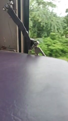 A low-angle, slightly shaky, interior shot from a moving train shows a purple seat in the foreground. To the left, a metal bracket with black tape is attached to a gray surface. Beyond the seat, a window reveals a blurry landscape of green trees and vegetation. Railroad tracks are visible outside the window, indicating the train's movement. The sky is overcast. The video pans slightly to the right, showing more of the passing scenery and the railroad tracks.