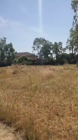 The video shows a field of dry, brown grass under a bright blue sky with scattered clouds. In the first shot, some trees and the roof of a building are visible in the distance. The perspective then changes to show a dirt path running through the field. More trees are visible along the horizon. The video appears to be taken by someone walking or moving along the path.