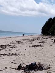 Quiet beach day in Otan, Indonesia, with debris-strewn shores