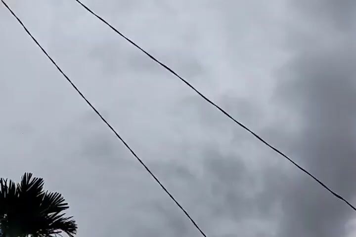 The video shows a view of palm trees and a cloudy sky, possibly before or during a storm. As the video progresses, the view shifts to include neighboring houses and utility lines. The houses appear to be in a residential area. The sky remains overcast throughout the video.