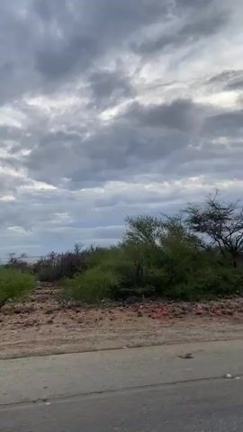 A video shows a landscape with a road in the foreground and trees and a cloudy sky in the background. The camera pans to the right, revealing more of the landscape and eventually a glimpse of the ocean and a distant shoreline. The overall scene is one of natural beauty and tranquility.