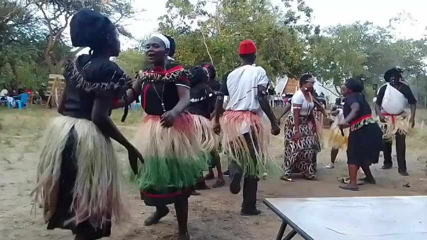 Here is a forensic description of the video:

The video shows a group of people, likely a mix of men and women, engaged in what appears to be a traditional dance in an outdoor setting. The dancers are dressed in a combination of modern and traditional attire, with many wearing skirts made of raffia or similar material. Some have headbands and other adornments. They are moving in a circular pattern, seemingly following a rhythmic beat. The background consists of trees, open ground, and a few spectators sitting in chairs. There is a table visible in the foreground, partially obscuring the view. The overall atmosphere is festive and communal.