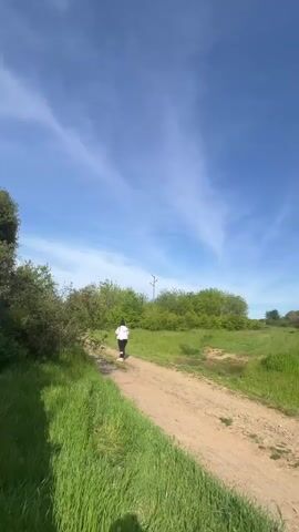 The video begins with a shot of a person walking along a dirt path surrounded by green grass and trees under a blue sky with wispy clouds. The camera then moves to a close-up of a blue metal structure, possibly a wall or fence. The camera then pans slightly to the right, showing a view through the fence, revealing a dirt-covered area with several deer. There are trees around the perimeter of the enclosure, and some small buildings or sheds are visible in the background under a partly cloudy sky.