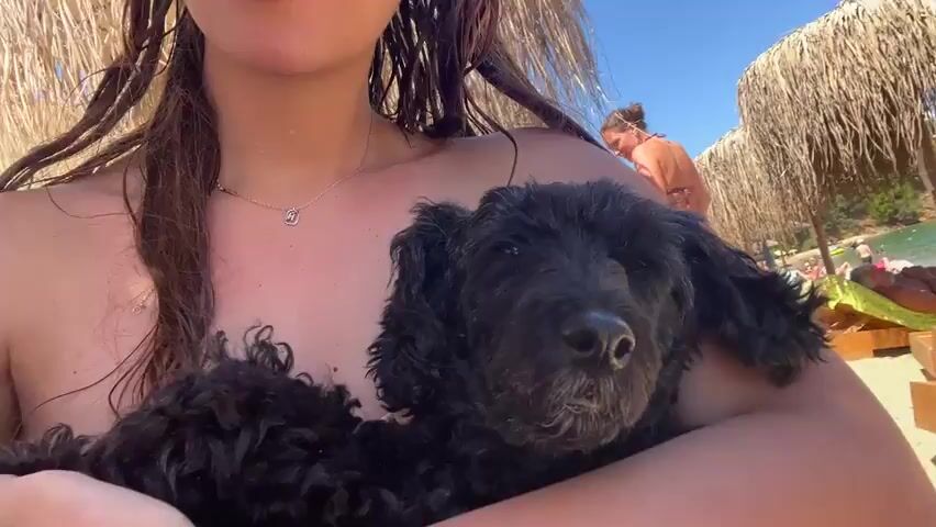 A person is holding a small black dog on a beach. The person's shoulders and chest are visible, and they are wearing a necklace. The dog is facing the camera, and its fur appears wet. In the background, beach chairs and umbrellas are set up, and another person is visible in a bikini. The overall environment suggests a sunny day at the beach.