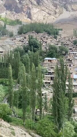 The video shows a view of a village nestled on a hillside, with many houses built close together. Tall, slender green trees are scattered throughout the village and in the foreground. In the background, a large, dry, mountainous landscape dominates the scene. The houses appear to be constructed of stone and mud, with flat roofs, and many have balconies or patios. The overall impression is of a remote and traditional settlement situated in a rugged, natural environment.