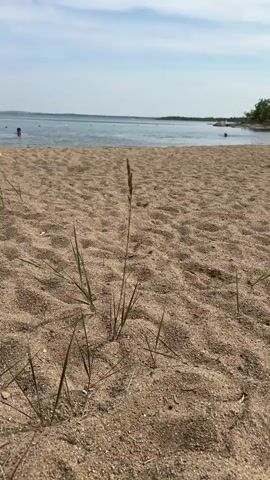 The video shows a close-up of sand on a beach with a stalk of grass in the foreground. In the background, a body of water, likely a lake or ocean, is visible with a few people swimming or wading. The sky is partly cloudy. The camera is positioned low to the ground, emphasizing the sand and grass. The focus shifts slightly between the foreground and background.