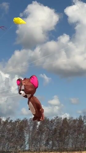 Bali's Rare Angon kite festival fills the sky with giant inflatables