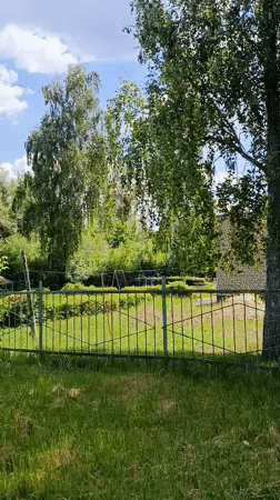 Daily life documented in Russian town Vereia over 38 minutes