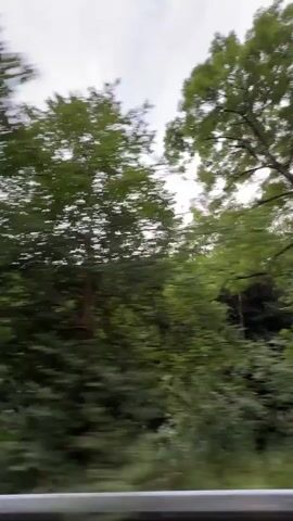 The video shows a blurred view of a forest from a moving vehicle. Tall green trees line the sides of the road. The sky is overcast with some clouds. A traffic sign is visible on the left side of the screen at one point, indicating a speed bump. The footage is shaky, suggesting the vehicle is in motion.