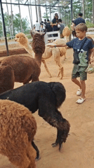 Morning at a Vietnamese animal park, hands-on with the wildlife