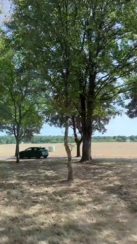The video shows a view from inside a vehicle moving along a tree-lined road. The trees are leafy and green, suggesting a summer day. In the distance, there are fields and a clear sky. The vehicle passes several objects including a small gray shed, a truck with a white trailer, and another vehicle. The perspective shifts between the side window and the windshield, offering glimpses of the passing scenery. The road appears to be paved and has white lane markings.