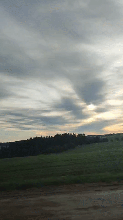 Traveler documents blooming fields near Большая Уса, Russia