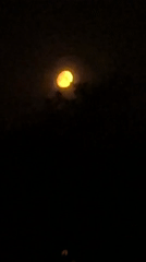 Montenegro residents observe amber moon during late night viewing
