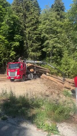 A red logging truck with a crane is parked on a dirt road next to a pile of logs. A person is standing on top of the truck, near the crane. The crane is extended and appears to be in the process of moving or loading logs. The truck is loaded with logs, and there are more logs on the ground next to the truck. The scene is set in a forest with tall trees. The sky is visible and appears to be blue and clear, suggesting a sunny day. In the foreground, there is some vegetation and a white and red striped pole. The video is short, lasting only a few seconds, and the actions are limited to the movement of the crane and the person on the truck.