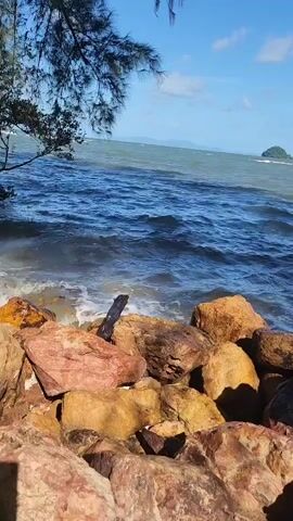 A vertical video shows a rocky shoreline with the ocean in the background. Waves are gently lapping at the rocks, and a tree branch hangs into the frame from the top left. In the distance, several islands are visible in the ocean under a clear blue sky with some clouds. The water appears to be two-toned, with a darker blue in the foreground and a lighter, greenish-gray hue further out.
