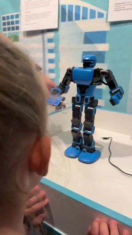 A child with blonde hair watches a blue and black robot move its arms. The robot stands on a white surface with blue trim. To the left of the blue and black robot is a white robot. The blue and black robot holds a tablet. Behind the robots is a wall with pictures. Two informational signs are on the wall behind the white robot. A cable is attached to the blue and black robot.
