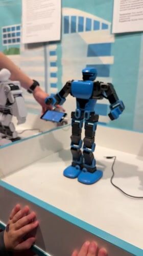 Child watches robotic toys demonstrate movements in Nikolayevsk